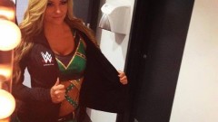 WWE Live Australian Tour 2014