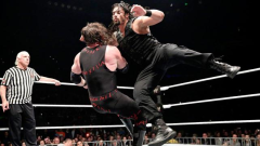 WWE Live Australian Tour 2014