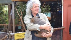 Brian May with a wombat