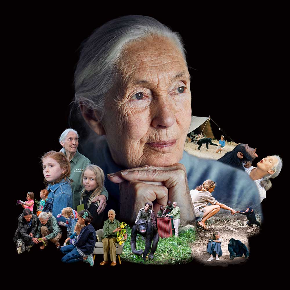 Dr. Jane GoodallDr. Jane Goodall  presented by TEG Dainty