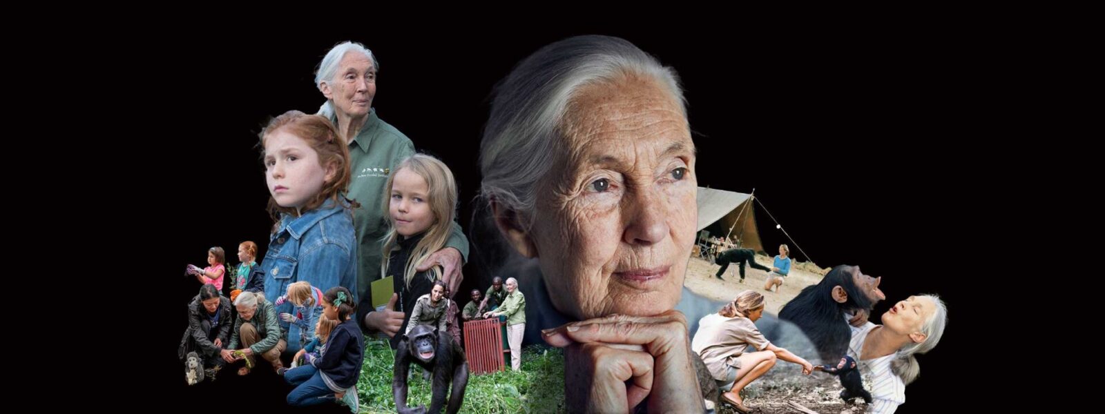Dr. Jane GoodallDr. Jane Goodall  presented by TEG Dainty